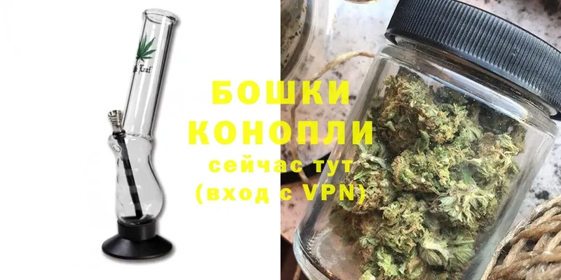 купить наркотики сайты  Приволжск  Конопля SATIVA & INDICA 